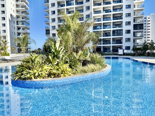 Pool with tropical island planting